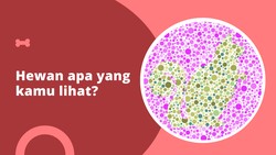 Cari tahu apakah kamu buta warna atau tidak dengan tes buta warna sederhana ini.