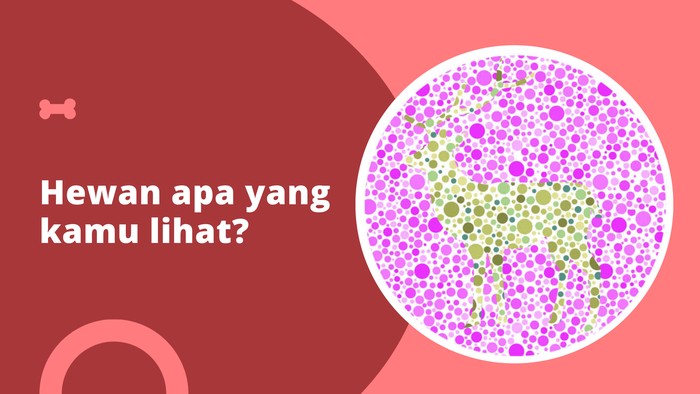 Asah otak detikHealth.