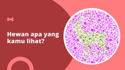 Cari tahu apakah kamu buta warna atau tidak dengan tes buta warna sederhana ini.