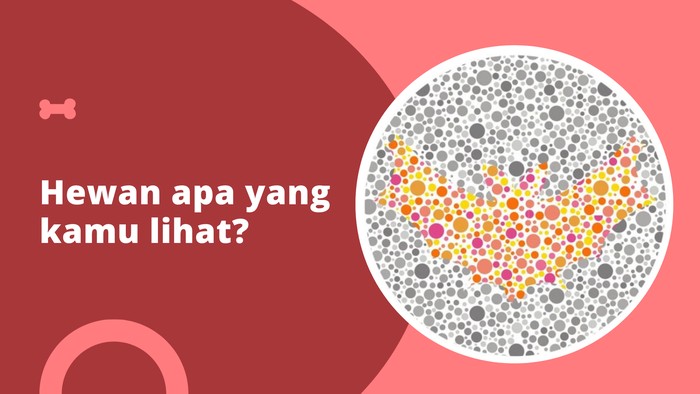 Asah otak detikHealth.