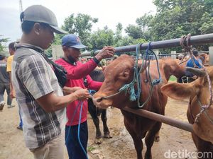 3.481 Hewan Ternak di Jatim Kena Wabah PMK, Ini Upaya agar Tak Meluas