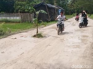 Tak Kunjung Diperbaiki, Jalan Rusak Sumenep Ditanami Puluhan Pohon Pisang