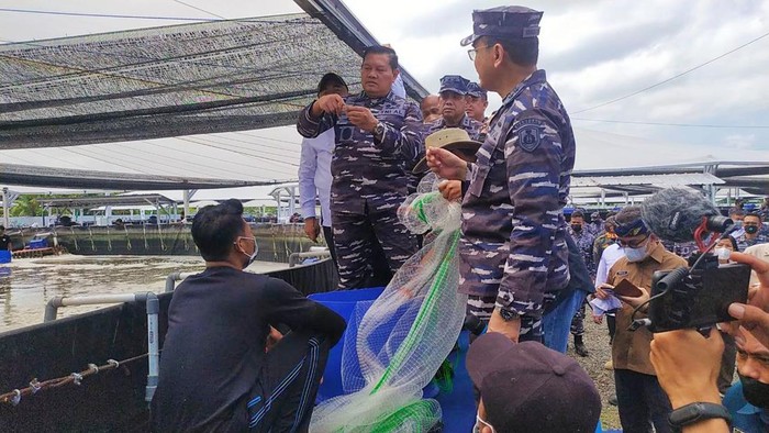 Kasal Laksamana TNI Yudo Margono didampingi Bupati Jembrana saat panen udang vaname pertama di INAP 2 Desa Pengambengan, Rabu (11/5/2022)