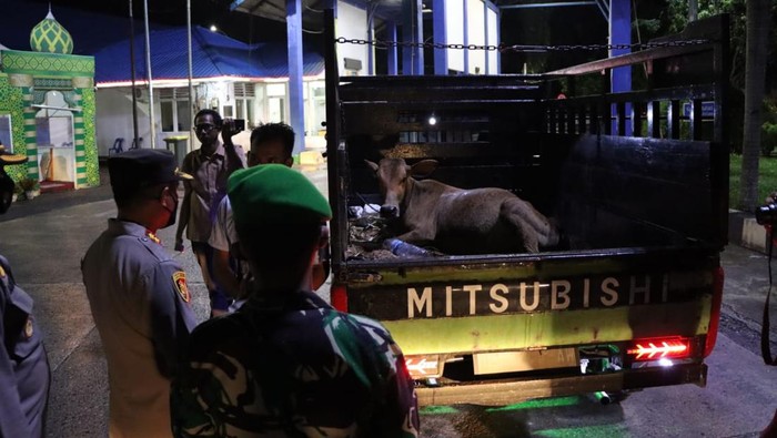 Polisi saat memeriksa mobil pick up pengangkut sapi di perbatasan Aceh-Sumut.