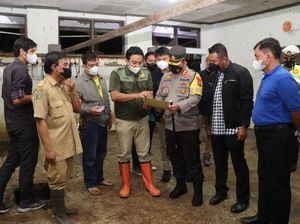 Gresik Terjangkit Wabah PMK, Ini Enam Tindakan Pencegahannya