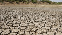 Cuaca panas tengah melanda sejumlah negara di dunia termasuk Indonesia dan India. Dari data hasil pengamatan BMKG, suhu maksimum terukur selama periode 1-7 Mei 2022 berkisar antara 33-36,1°C. Suhu maksimum tertinggi mencapai 36,1 °C terjadi di wilayah Tangerang-Banten dan Kalimarau-Kalimantan Utara. Sementara itu, cuaca panas menyebabkan suhu di India menembus 40 derajat celsius. Kondisi tersebut memicu kekhawatiran terjadinya kekeringan di beberapa wilayah. (AP Photo/Ajit Solanki).