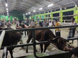 Dinas Peternakan-Polisi Pastikan RPH Sidoarjo Potong Hewan Ternak yang Sehat