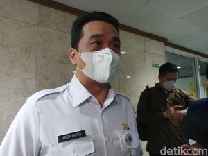 Wagub DKI soal Kabar 8 Warga Jaksel Kena Virus dari Tikus: Hoax!