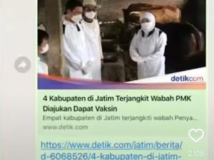 Viral Ajakan Tak Makan Daging Sapi Imbas PMK, Eri Cahyadi Pasang Badan
