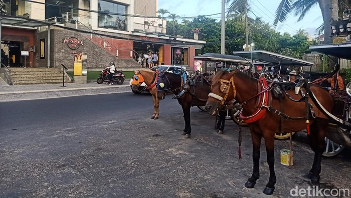 Peraturan baru resmi dikeluarkan Desa Adat Kuta menyikapi viralnya video turis asal Australia yang mengaku dilecehkan di Pantai Kuta beberapa waktu lalu.
