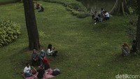 Taman dengan luas 7 hektar ini dimanfaatkan warga untuk piknik.