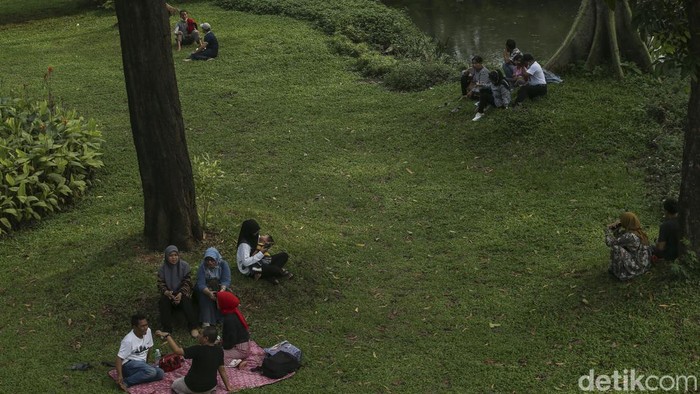 Yuk, Piknik di Taman Tebet Eco Park yang Asri Banget Taman Tebet Eco Park kini dimanfaatkan banyak warga untuk piknik sebagai alternatif wisata di Ibu Kota. Suasananya asri banget lho gaes.