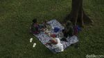 Yuk, Piknik di Taman Tebet Eco Park yang Asri Banget