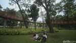 Yuk, Piknik di Taman Tebet Eco Park yang Asri Banget