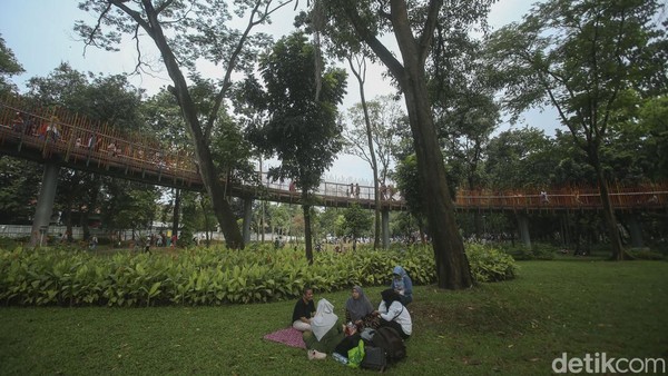 Tebet Eco Park atau Taman Tebet adalah sebuah taman yang terletak di Tebet, Jakarta Selatan. Taman ini belum lama diresmikan usai direvitalisasi. Kini taman tersebut lebih nyaman dan instagramable. Rifkianto Nugroho/detikcom