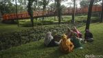 Yuk, Piknik di Taman Tebet Eco Park yang Asri Banget