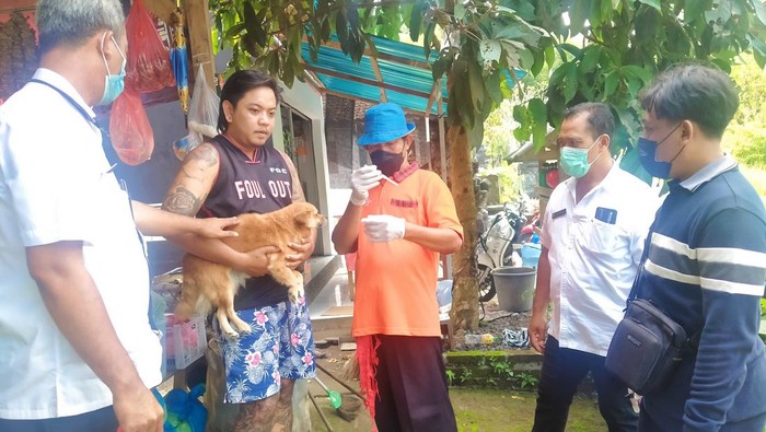 Petugas dari keswan dan masyarakat veteriner Dinas Pertanian dan Pangan Jembrana melakukan vaksinasi rabies di Desa Pergung, Kecamatan Mendoyo, Jembrana, Rabu (11/5/2022)