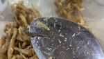 Apes! Lagi Enak Makan Ikan Teri, Orang Ini Malah Temukan Kuda Laut