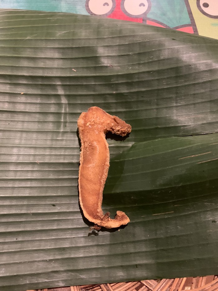 Apes! Lagi Enak Makan Ikan Teri, Orang Ini Malah Temukan Kuda Laut Apes! Lagi Enak Makan Ikan Teri, Orang Ini Malah Temukan Kuda Laut