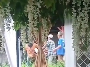 Viral Pria Disebut Ngamuk di Pernikahan Mantan, Langsung Diamankan Warga