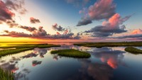 Florida mendominasi 10 tujuan domestik di musim panas dalam laporan Airbnb. Salah satu tujuannya tak terduga, yaitu Cape San Blas. (Getty Images)