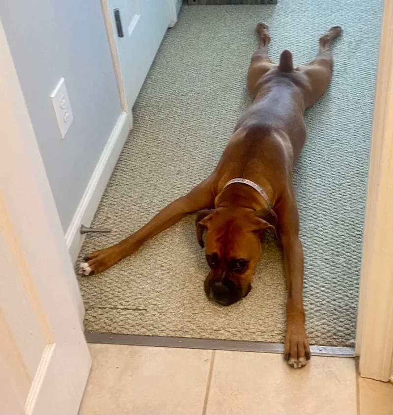 Foto mengelabui mata