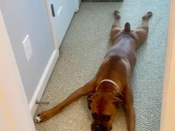 Parah! Deretan Foto Ini Benar-benar Mengelabui Mata