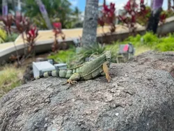 Parah! Deretan Foto Ini Benar-benar Mengelabui Mata