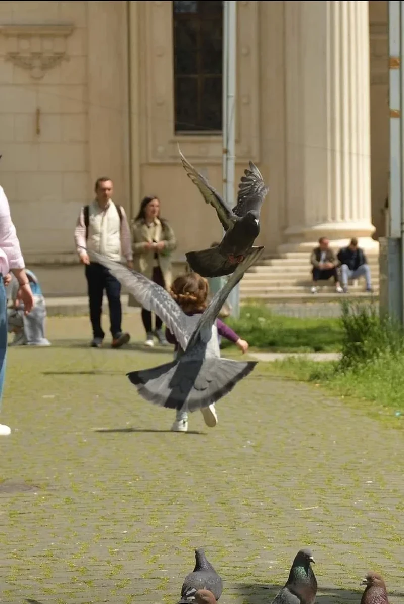 Foto mengelabui mata