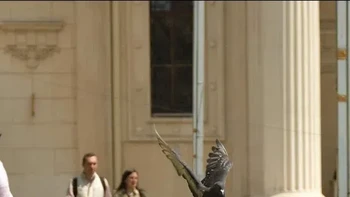 Balita bersayap. Foto: Reddit