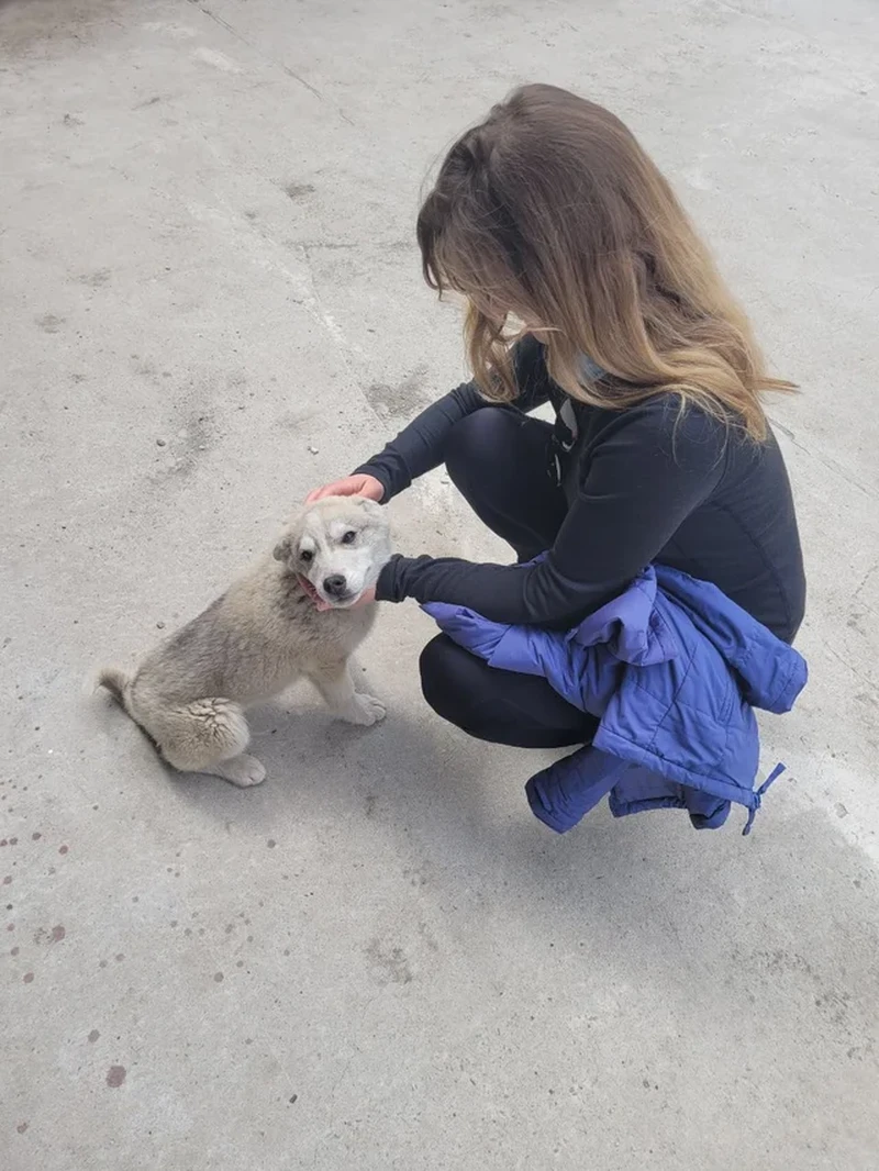 Foto mengelabui mata