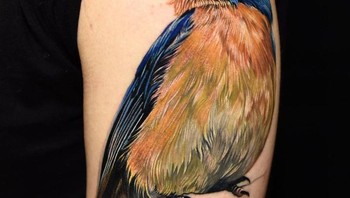 Penggambaran burung yang detail. Foto: Brightside