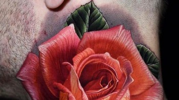 Bunga mawar yang mekar. Foto: Brightside