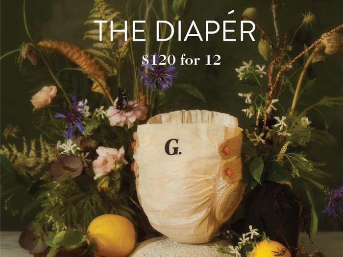 Goop Diaper, popok sekali pakai seharga Rp 1,7 juta.