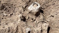 Kekeringan di danau ini ternyata memunculkan masalah lain, yaitu ditemukannya mayat manusia yang mati tenggelam di sana. (AP Photo/Lindsey Melvin) 