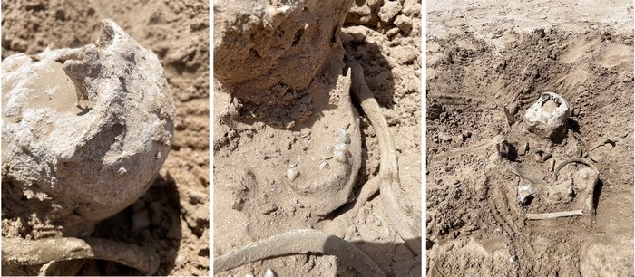 Ngeri, Kerangka Korban Pembunuhan Muncul dari Danau yang Mengering di AS These photos of Saturday, May 7, 2022, provided by Lindsey Melvin of Henderson, Nev., shows human remains she and her sister discovered on a sandbar that recently surfaced as Lake Mead recedes. A closer look revealed a human jaw with teeth. The National Park Service confirmed in a statement that the bones are human. (Lindsey Melvin via AP)