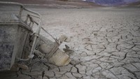 Diketahui kekeringan di Danau Mead ini adalah yang terparah dalam 15 tahun terakhir. (AP Photo/John Locher) 