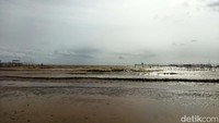 Pantauan detikcom di Pantai Karoeng Kamis (12/5/22) air pantai berwarna coklat terhampar sepanjang sekitar 17 Km.
