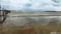Akibatnya pantai tersebut tidak elok untuk dipandang dan sepi pengunjung.