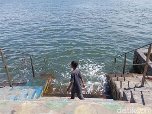 Invasi Ubur-ubur Bikin Pengunjung Pantai Mayangan Mengeluh Tak Bisa Berendam