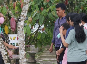 Menjelajah Desa Cokelat Bali, Pengunjung Bisa Racik-Hasil Dibawa Pulang