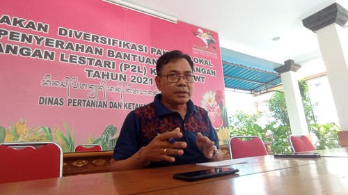 Kepala Dinas Pertanian dan Ketahanan Pangan Provinsi Bali I Wayan Sunada.