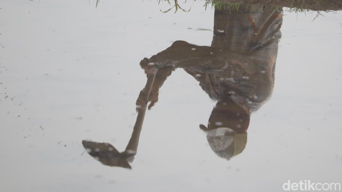 Musim tanam padi dimulai di kawasan Bandung, Jawa Barat. Nah, seperti apa sih persiapan para petani? Penasaran?