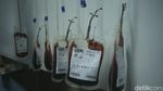 Intip Sibuknya Lab Darah di PMI DKI Jakarta