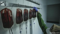 Bukan hanya darah merah, di lab ini juga menyediakan trombosit biasanya untuk pasien demam berdarah.