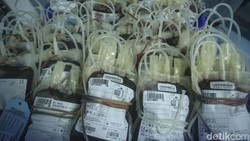 Lab darah milik PMI DKI Jakarta telah memproses ribuan kantong darah setiap harinya. Seluruh darah dari lab ini akan diserahkan ke rumah sakit yang membutuhkan.