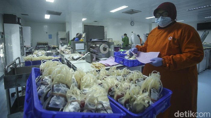 Intip Sibuknya Lab Darah di PMI DKI Jakarta Petugas beraktivitas di Lab PMI DKI Jakarta, Kamis (12/5/2022). Di lab ini seluruh darah yang didapat dikelola untuk diserahkan kepada rumah sakit maupun masyarakat yang membutuhkan darah.
