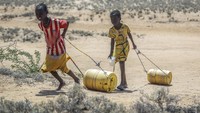 Daerah utara Kenya menjadi daerah terburuk dalam krisis kekeringan dan kelaparan. Setengah juta jiwa dipastikan terancam kelaparan karena gagal panen hingga banyak ternak yang mati.
