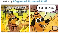 Para investor kripto Terra LUNA yang mencoba tabah meratapi nasib, padahal harga aset kriptonya udah kebakaran abis!