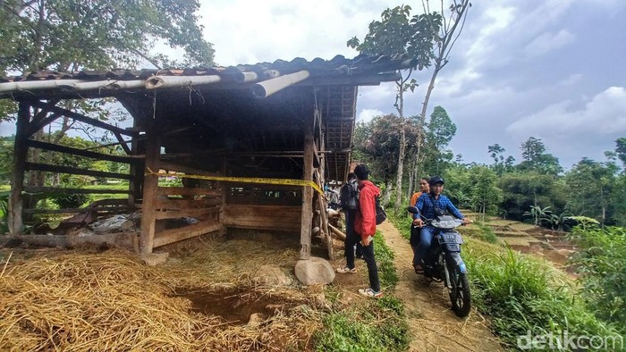 Lokasi pencurian kerbau.
